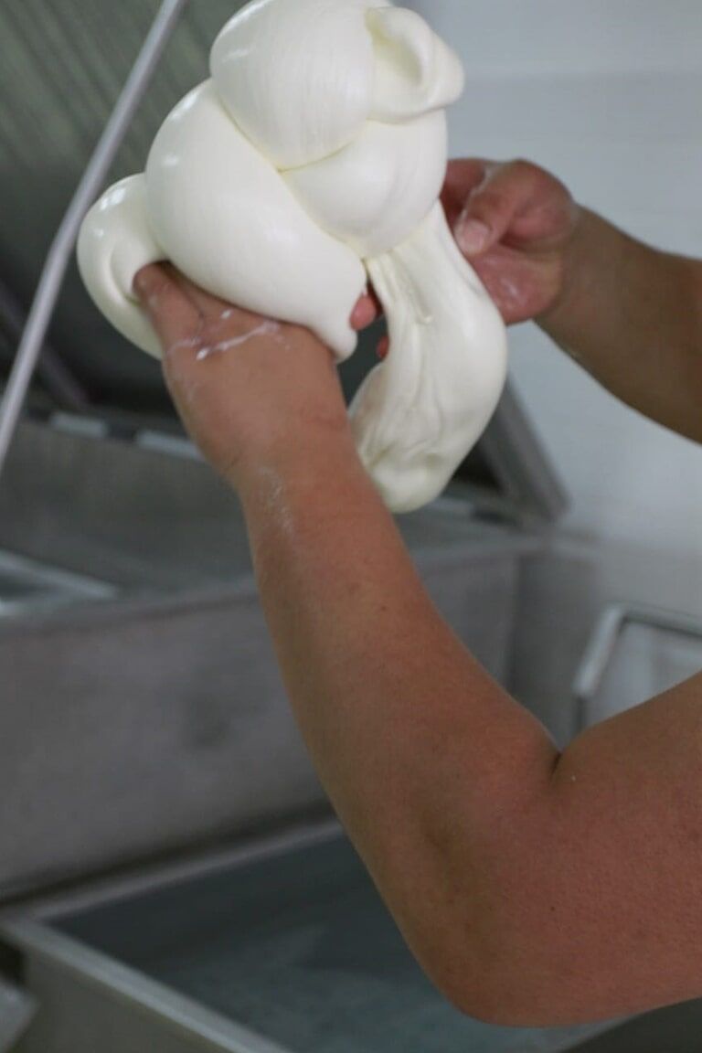 Produzione Mozzarella