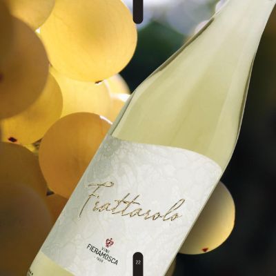 vini bianchi frizzanti