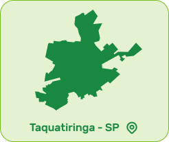 produção Goiaba produção Goiaba