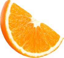 Uma fatia de laranja é mostrada em um fundo branco