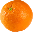 Uma laranja com um talo verde sobre um fundo branco