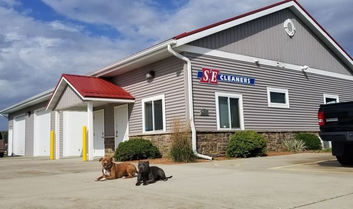 Two Dogs are Sitting in Front of the  — Janesville, WI — SE Cleaners