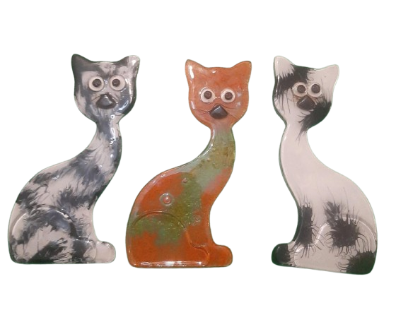 Tres gatos están sentados uno al lado del otro sobre un fondo blanco.