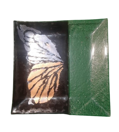 Un cuadrado negro y verde con una mariposa encima.