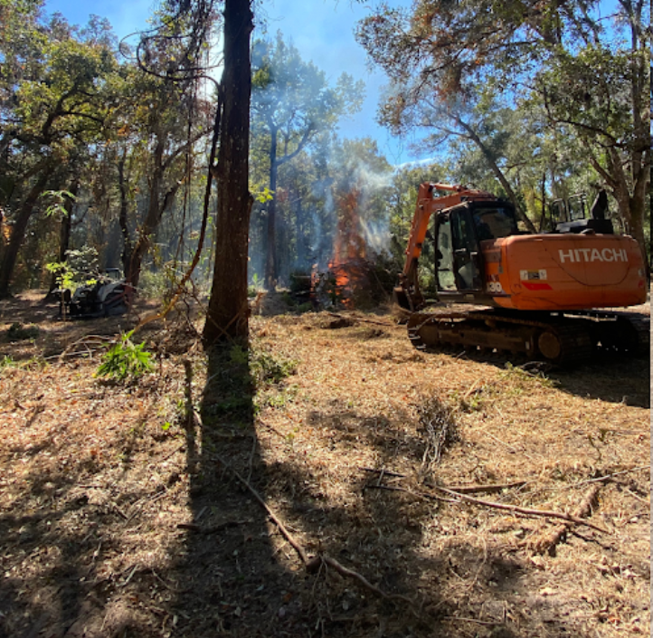 A hitachi excavator is in the middle of a forest