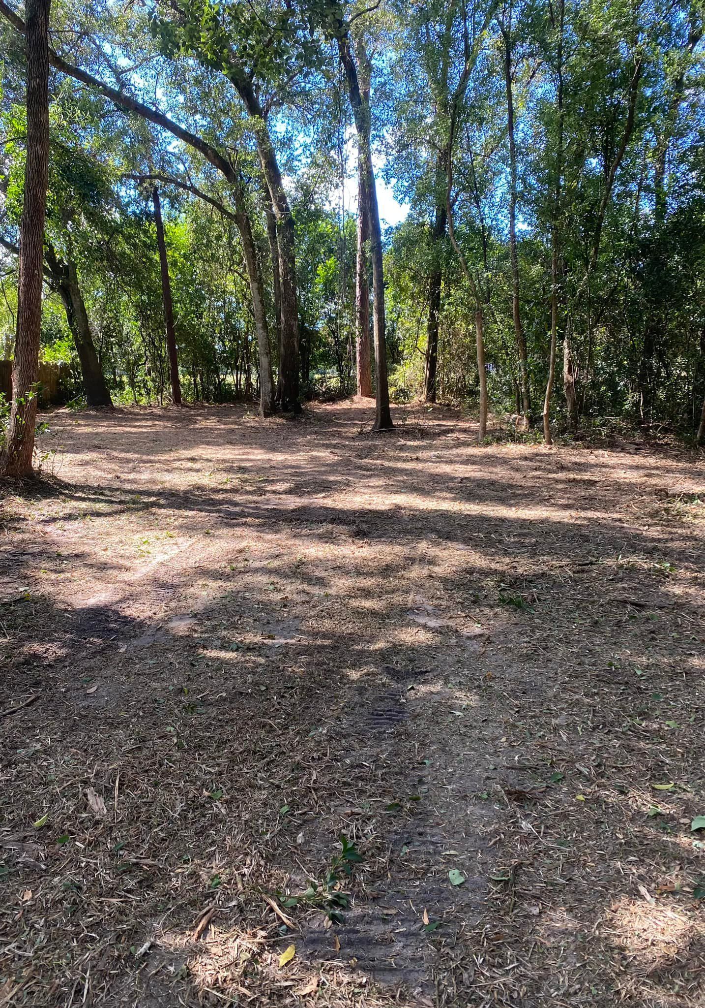 A dirt path in the middle of a forest surrounded by trees.