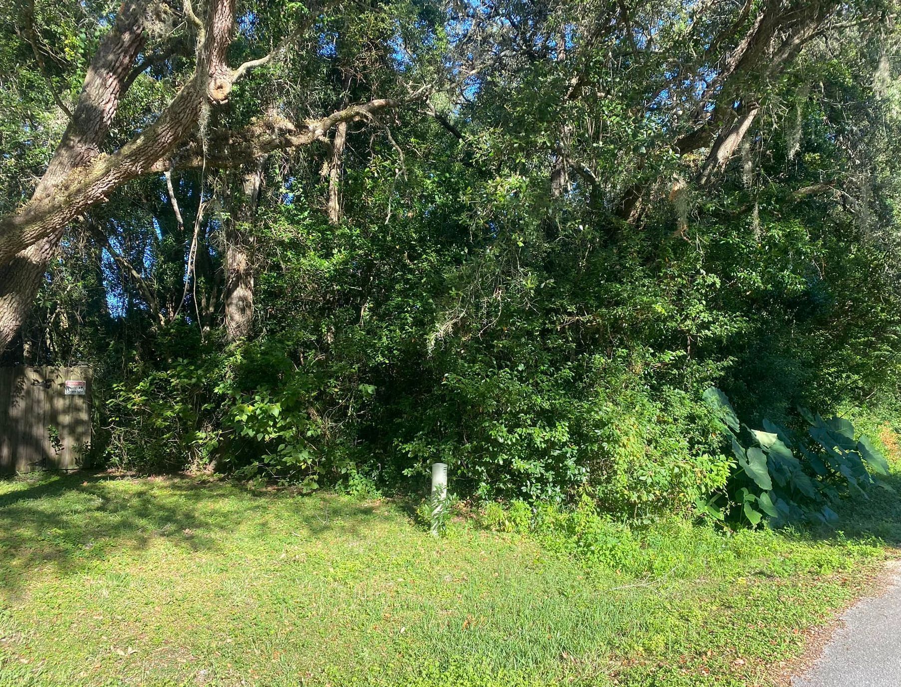 A lush green field with trees and bushes along the side of a road.