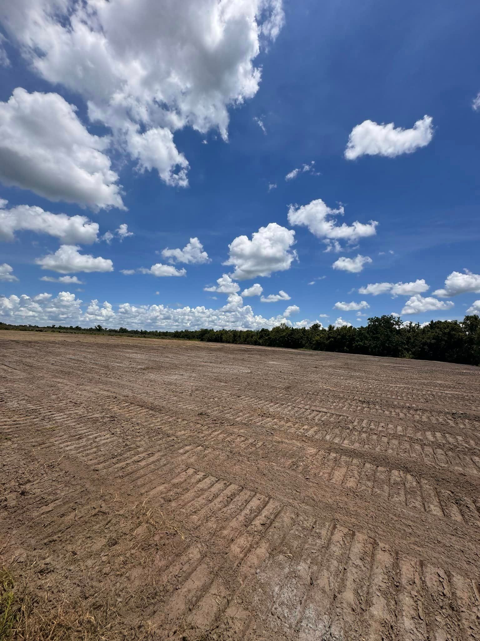 A dirt field with trees in the background and a blue sky with clouds