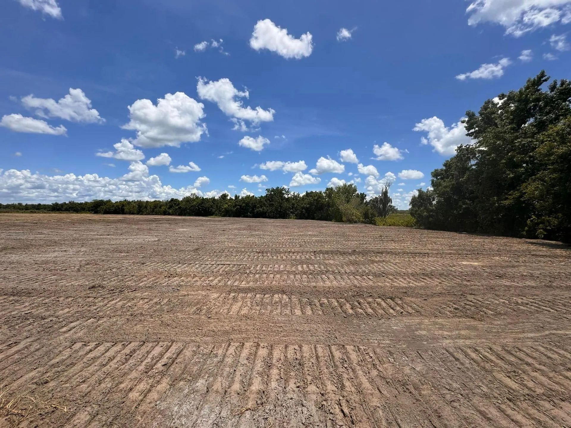 A plowed field under a blue sky with white puffy clouds, trees on the horizon.