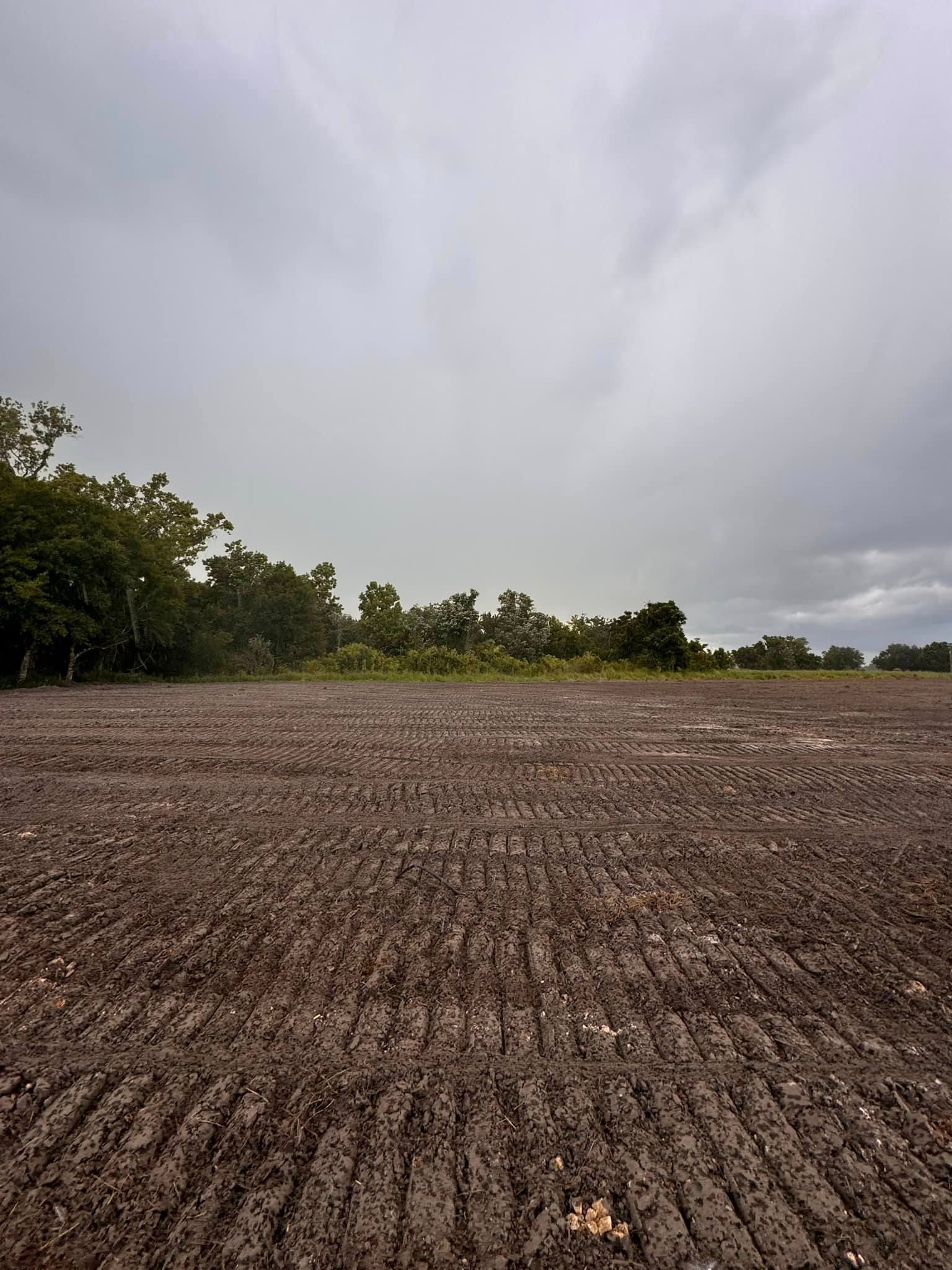 A dirt field with trees in the background and a cloudy sky.