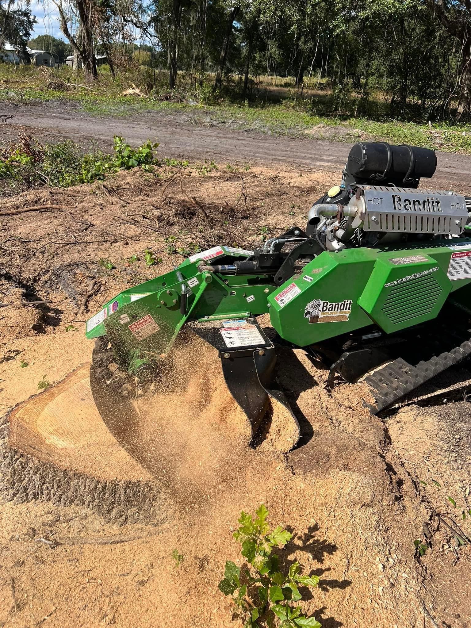 A green stump grinder is cutting a tree stump in the dirt.
