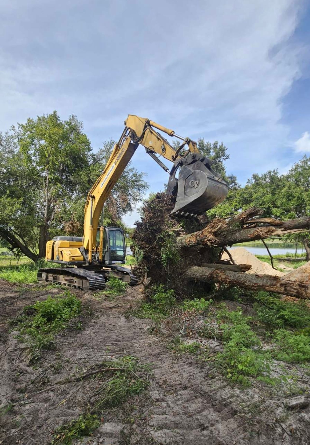 Yellow excavator uproots a large fallen tree in a grassy area, under a partly cloudy sky.