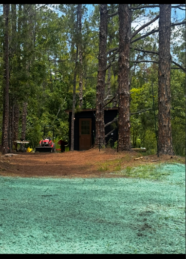 A small dark shed in a wooded area, with green grass in the foreground and benches.