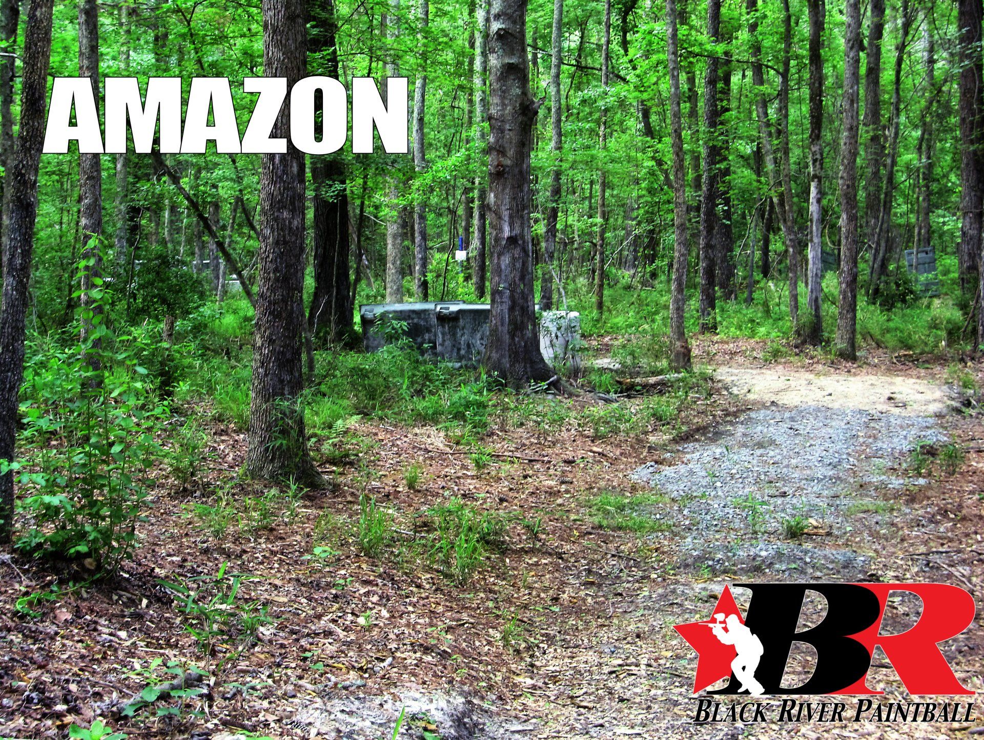 A picture of a forest with the word amazon on it