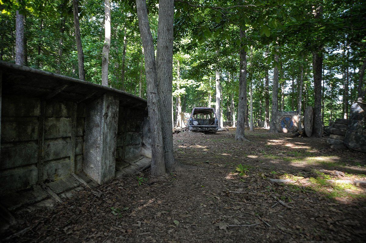 A golf cart is parked in the middle of a forest.
