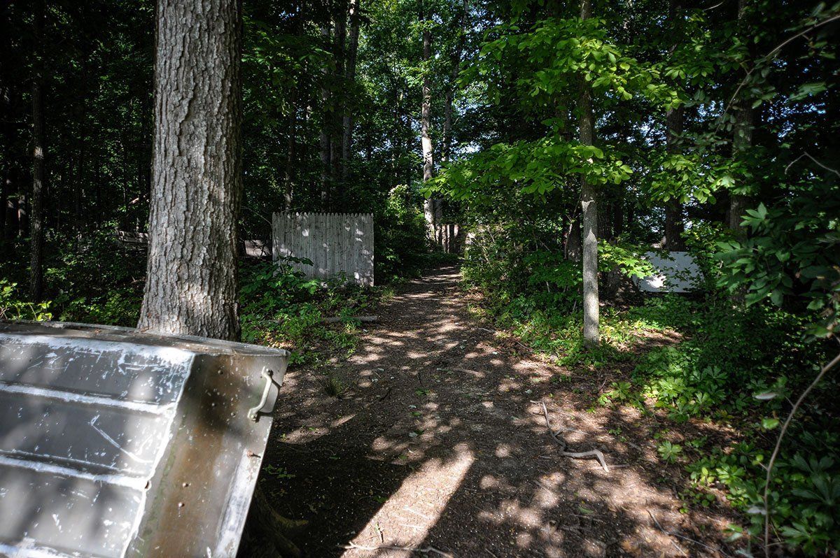 A path in the woods with trees and leaves on the ground.