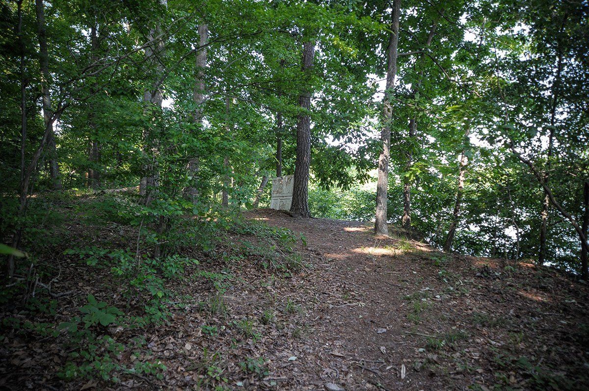 A path in the middle of a forest with trees and leaves on the ground.