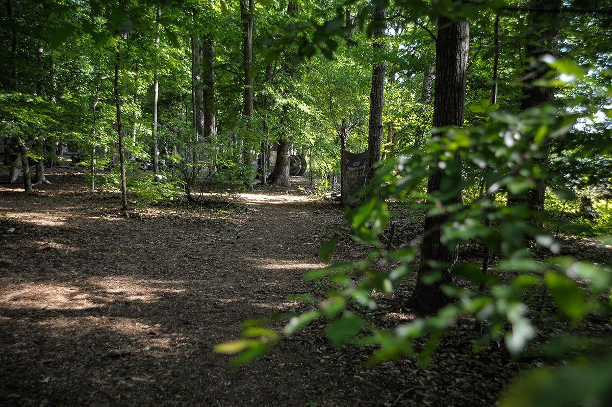 A path in the middle of a forest with trees and leaves.