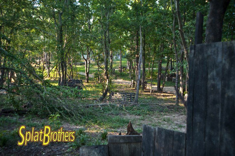 A wooded area with a sign that says splat brothers on it.
