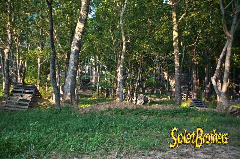 A forest with a sign that says splatbrothers on it