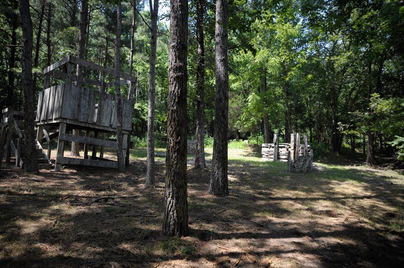 A wooden structure in the middle of a forest surrounded by trees.