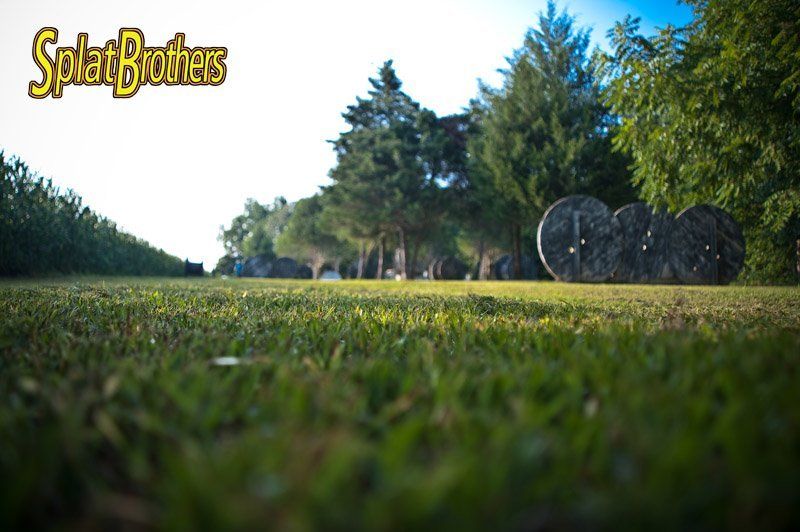 A blurred image of a field with the words splat brothers on the bottom