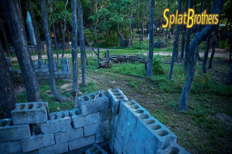 A brick wall is being built in the middle of a forest.