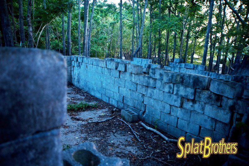 A brick wall in the middle of a forest with splatbrothers written on the bottom
