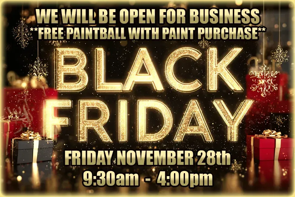 An advertisement for a day after thanksgiving special free play with paint purchase