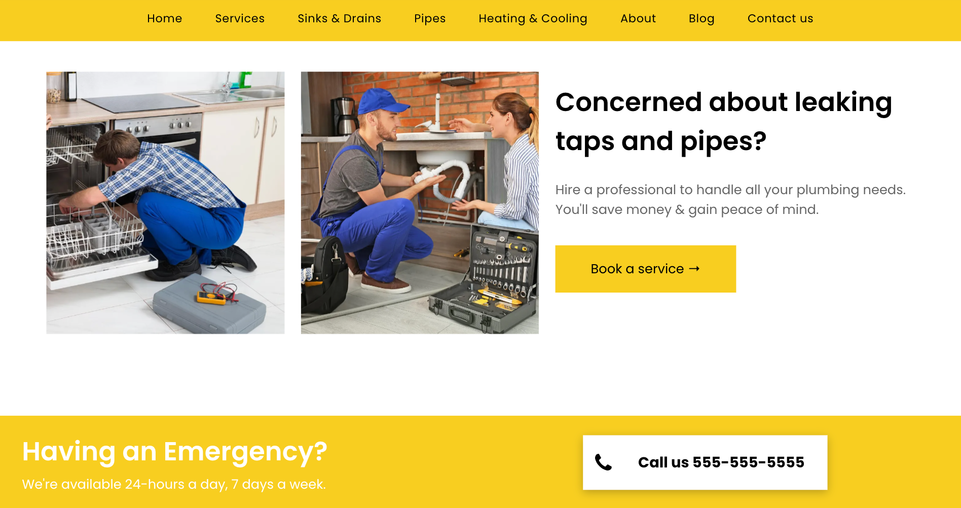 TagSonar plumbing website homepage example.