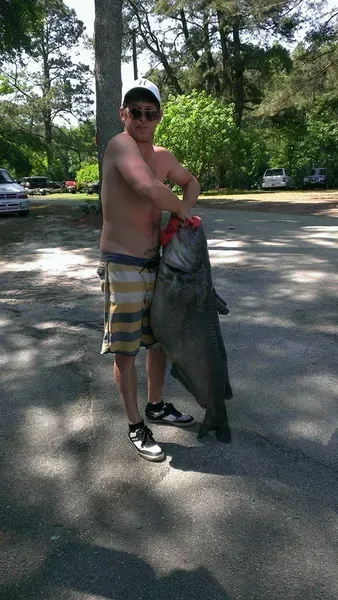 Man holding a large fish, wearing shorts and a hat, outdoors.