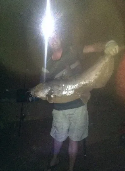 Man holding large catfish at night; wearing a headlamp.