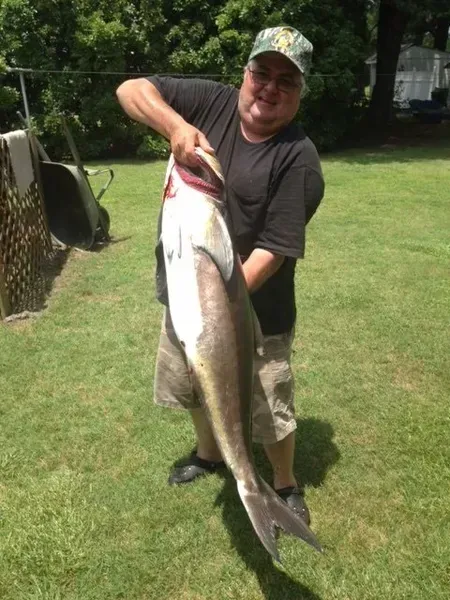 Man holding a large fish on green grass, smiling. He's wearing a camo hat, black shirt, and shorts.