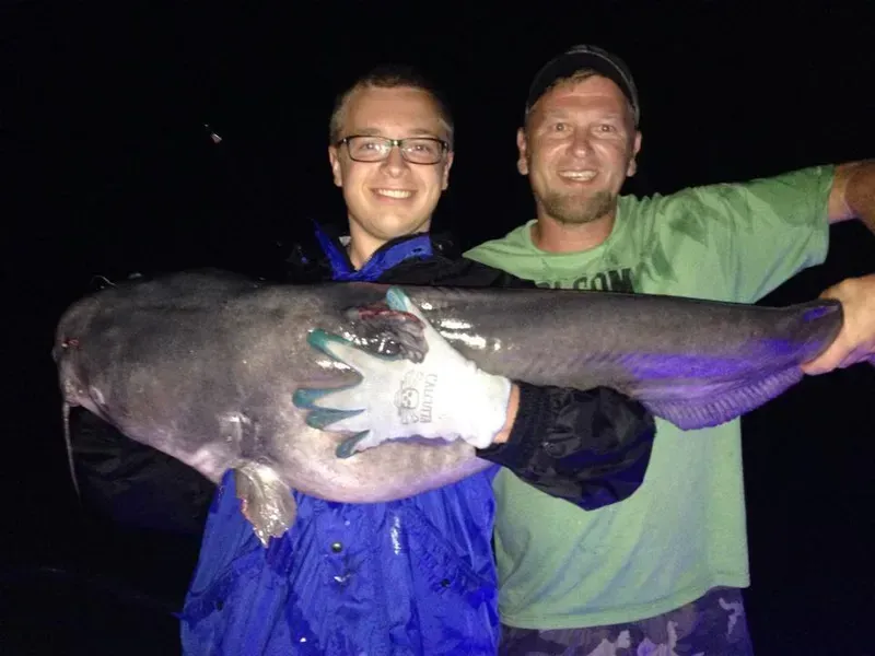 Two men holding a large, gray catfish they caught at night. One wears a blue coat and glasses; the other wears green and camo.