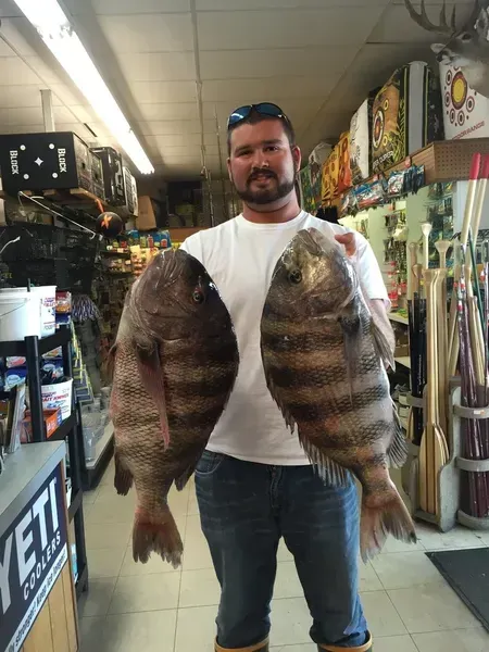 Man holding two large, striped fish inside a store, likely a sporting goods shop.
