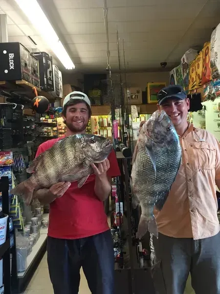 Two men in a store hold up large black fish, smiling.