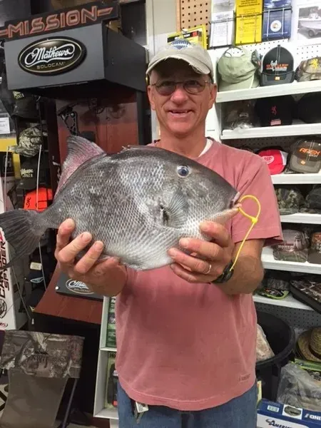 Man holding a gray, disk-shaped fish with a yellow string through its mouth. Store setting.