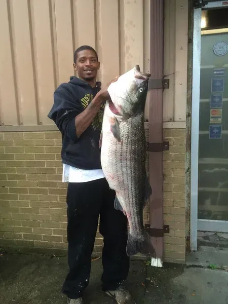 Man smiling, holding large striped bass; near building with brick wall.
