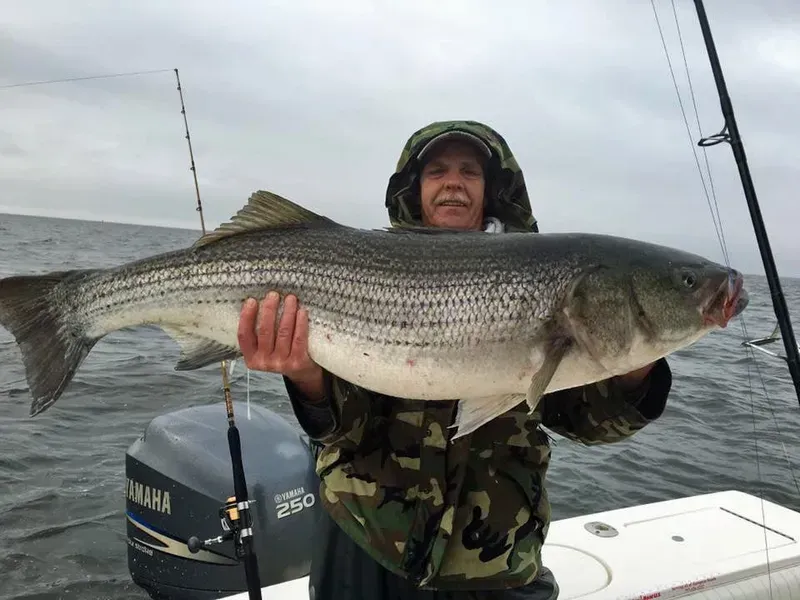 Man on a boat holds up a large striped bass. Gray water, cloudy sky, fishing gear.