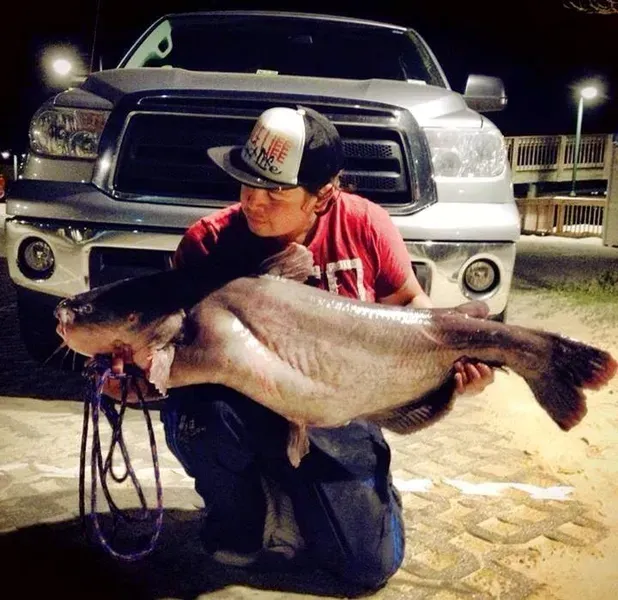 Man kneels holding large catfish, in front of a truck at night.