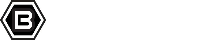 Brincomp Consulting name