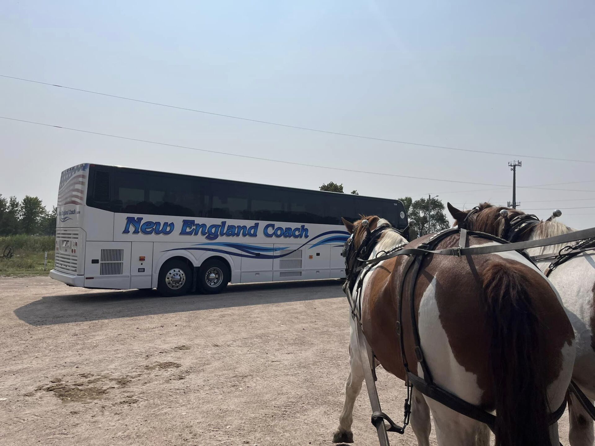 New England Coach Tour and Travel Raymond, NH MultiDay Tours