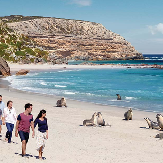 KANGAROO ISLAND