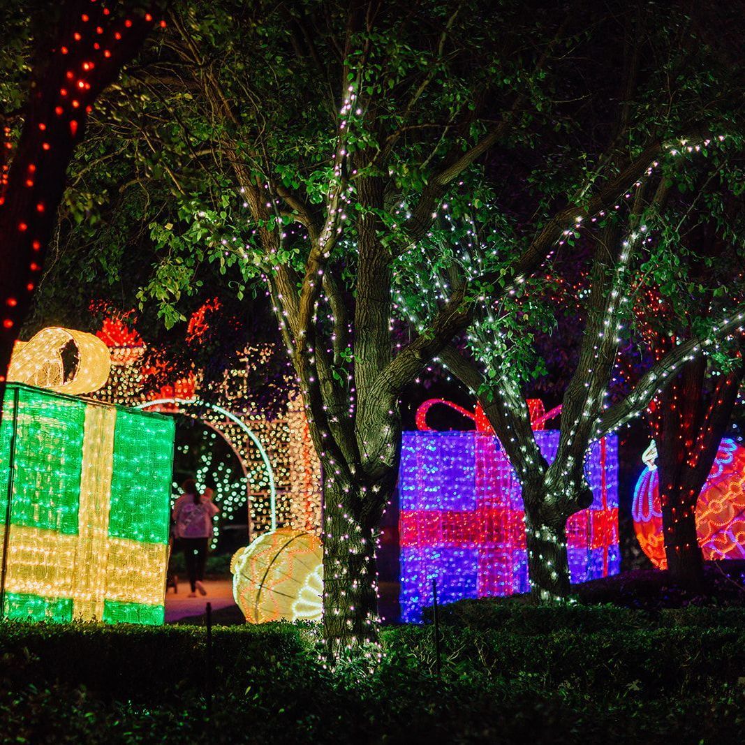 Vivid Sydney