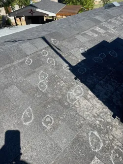 A roof with a shadow of a person on it and a house in the background.
