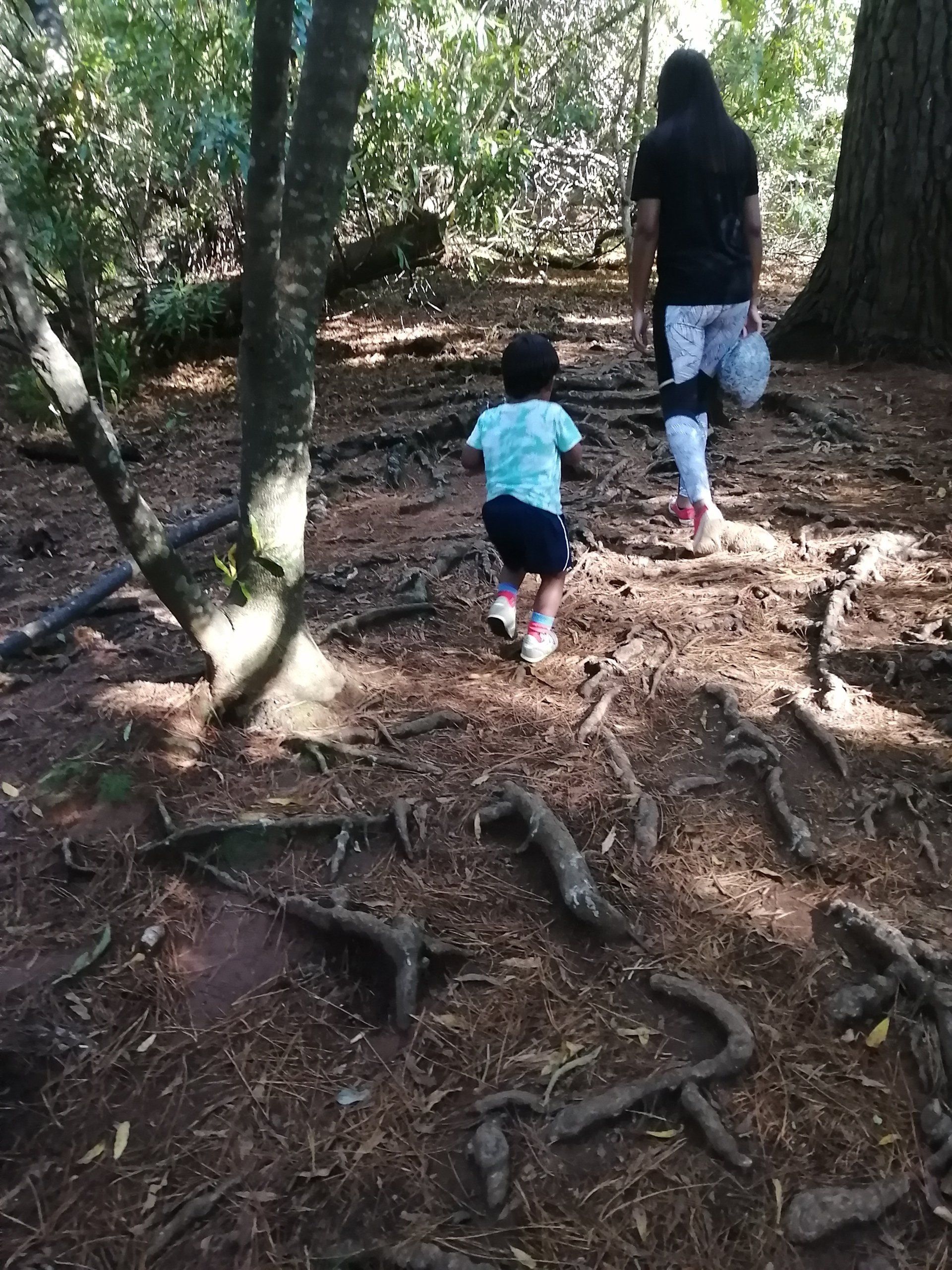 a woman and a child are walking through the woods .