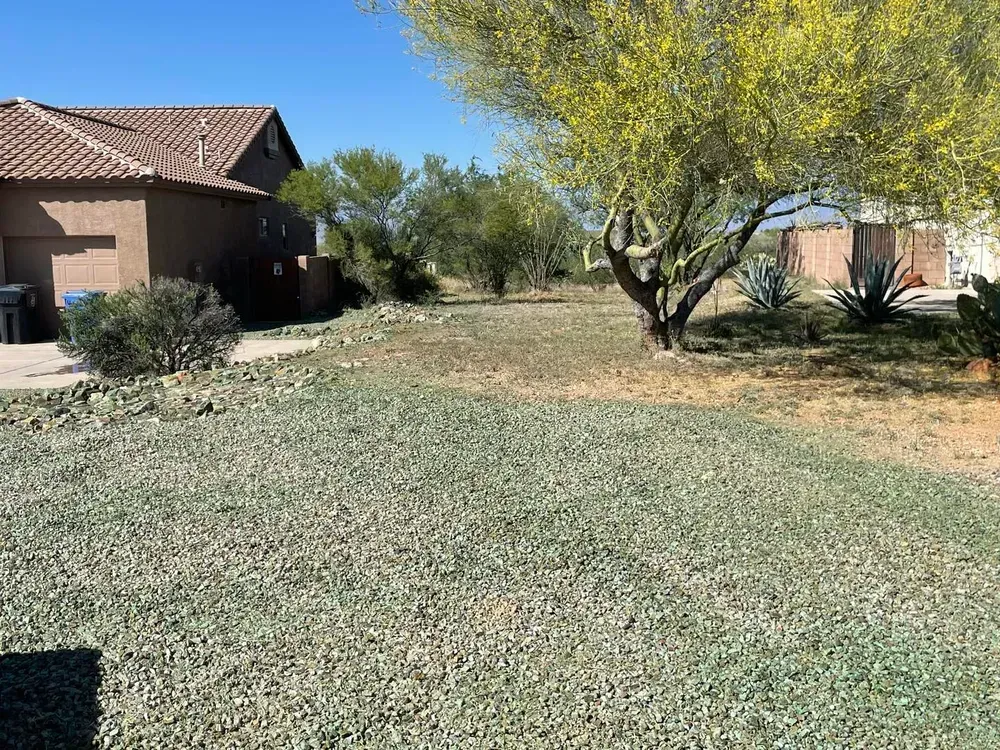 Backyard with sparse grass, brown house, trees, and blue sky.