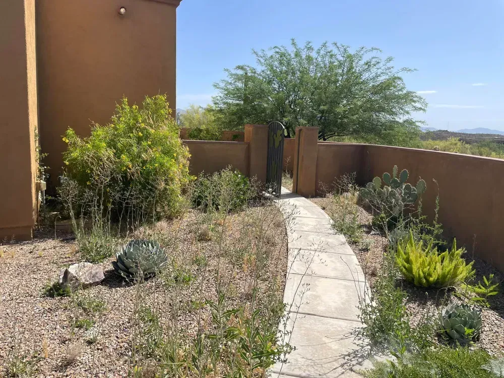 Stone path leads through a desert garden between two walls and a house, under a sunny sky.