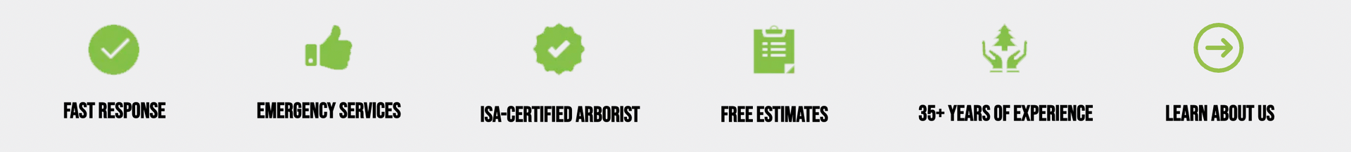 Green icons with text labels, likely indicating stages or features.