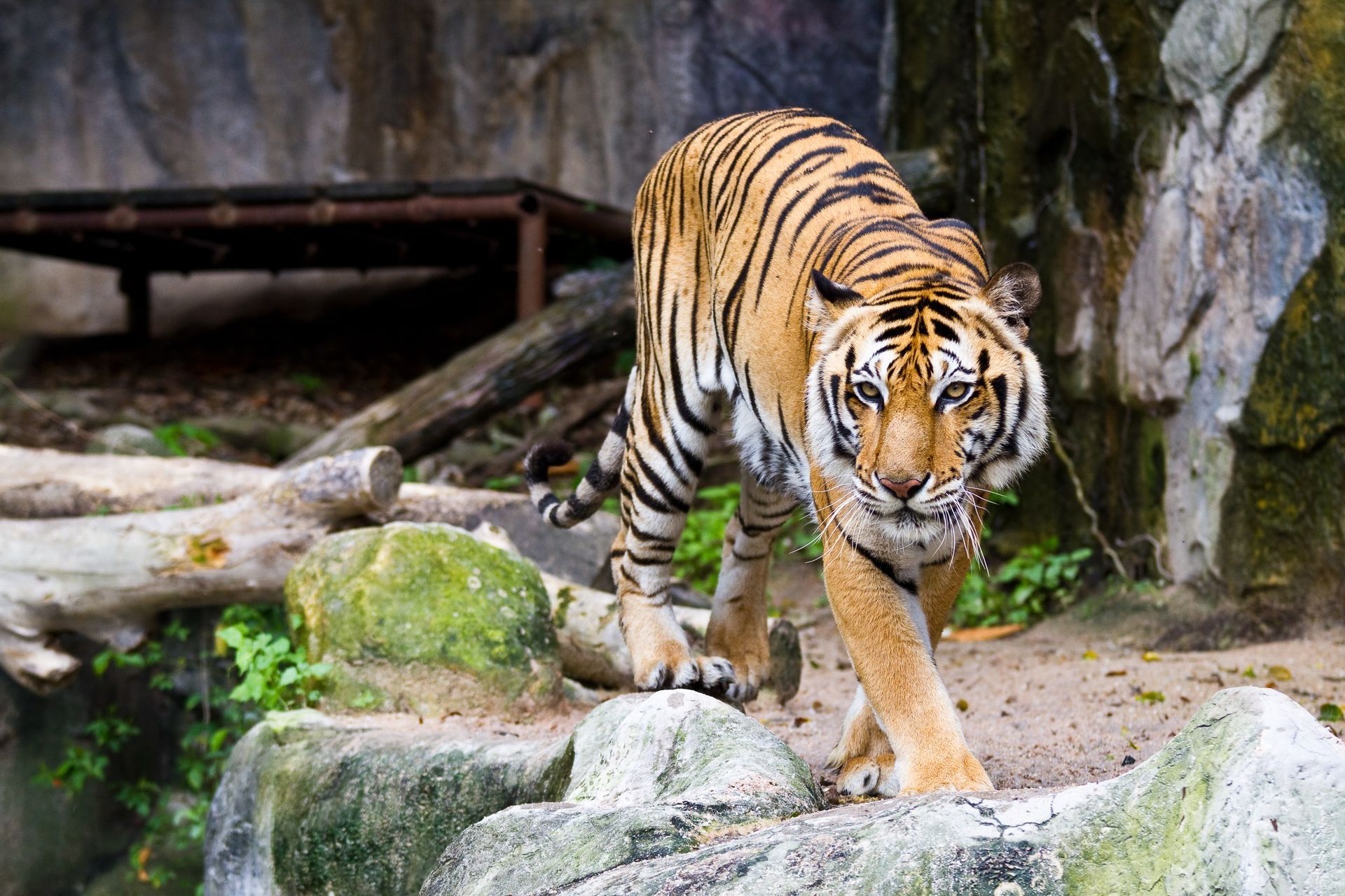 JARDIM BOTÂNICO E ZOO BAURU